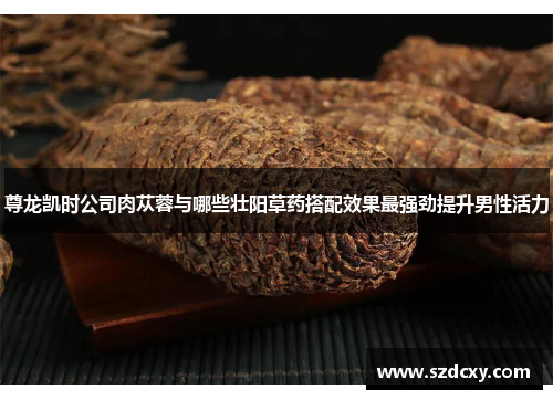 尊龙凯时公司肉苁蓉与哪些壮阳草药搭配效果最强劲提升男性活力